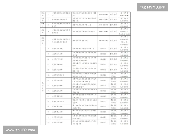 体育赛事购票—深入剖析体育赛事票务市场动态探索数字化转型机遇与风险
